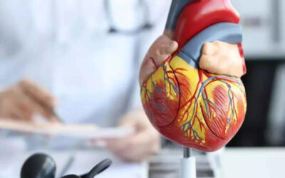 Cardiologist reveals the ‘most powerful longevity drug’ that could help you live 10 years longer