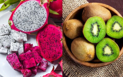 Top essential fruits you should include in your daily diet