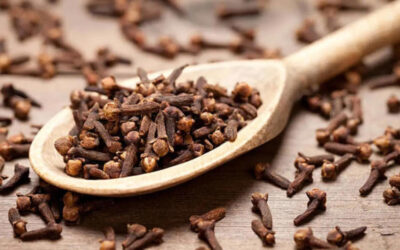 Why chewing cloves every morning could transform your health: 5 science-backed benefits