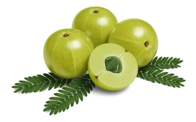 14 amazing health benefits of amla
