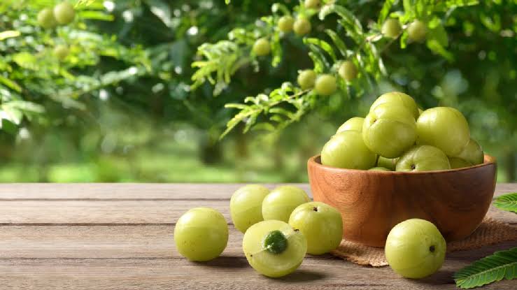 14 amazing health benefits of amla
