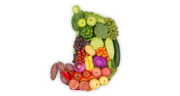 Gut Health Explained: How Your Digestive System Influences Overall Wellness