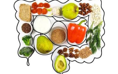 Gut Health and the Gut Microbiome — Foods and Daily Habits That Support Healthy Digestion