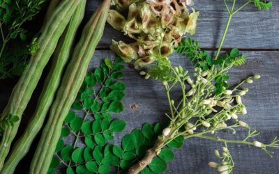 Why drumsticks are everyday superfood you may have overlooked