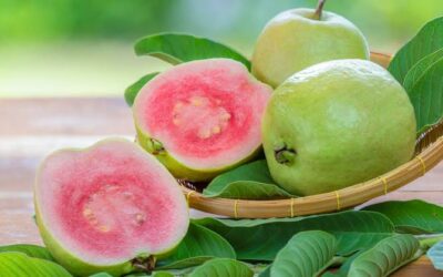 Guava Benefits: What will happen if you eat guava every day? Doctor reveals the amazing benefits.